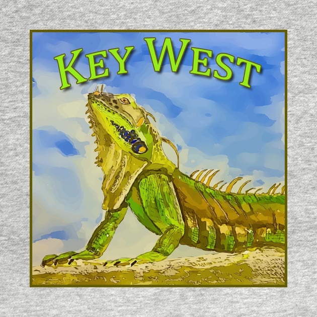 Key West Florida Iguana by WelshDesigns